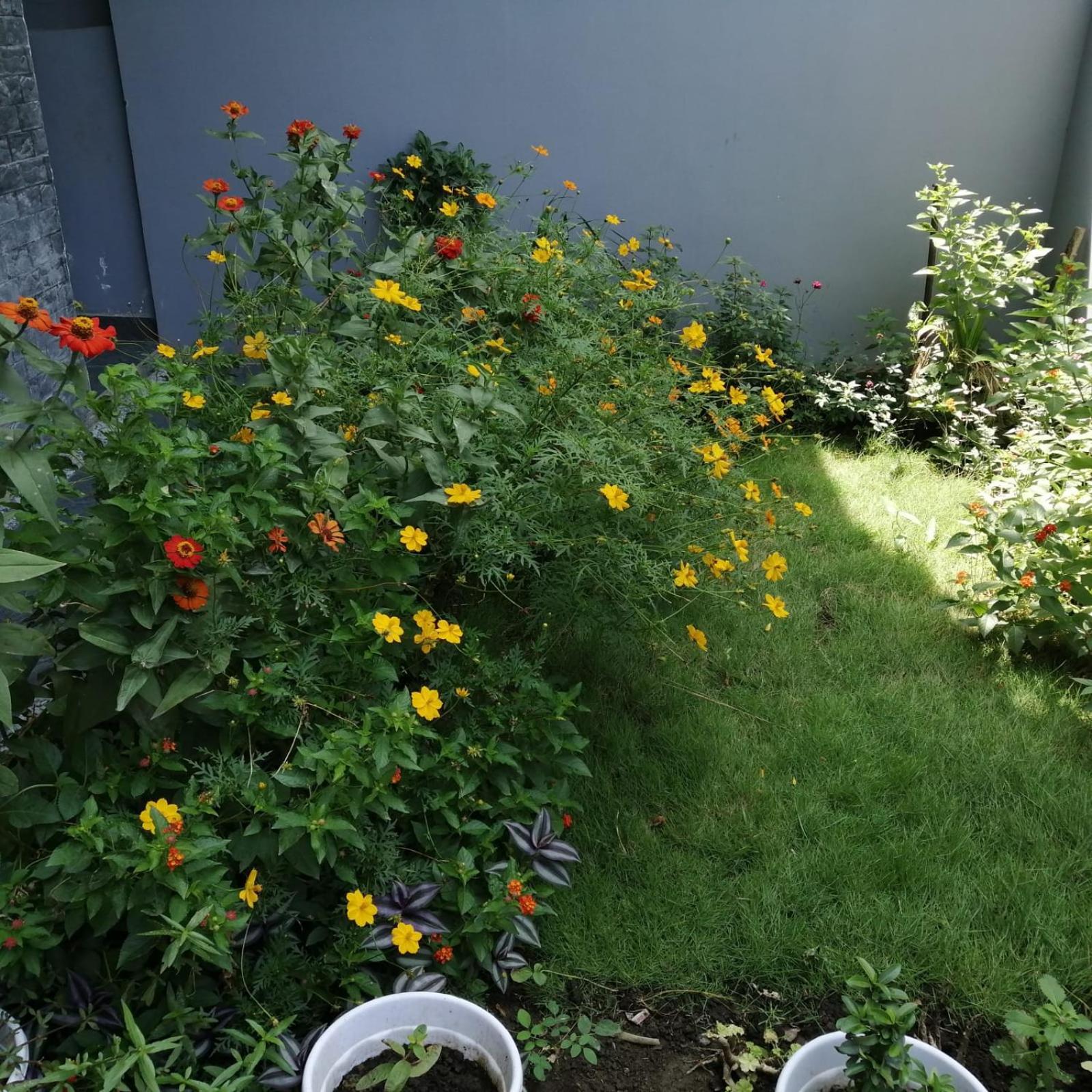 Aashiyana Home Stay Bhopal Ngoại thất bức ảnh
